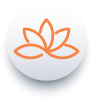 peace of mind icon