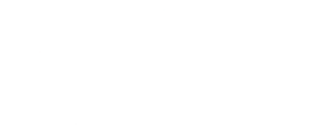 Nino Salvaggio logo. IT Support testimonials